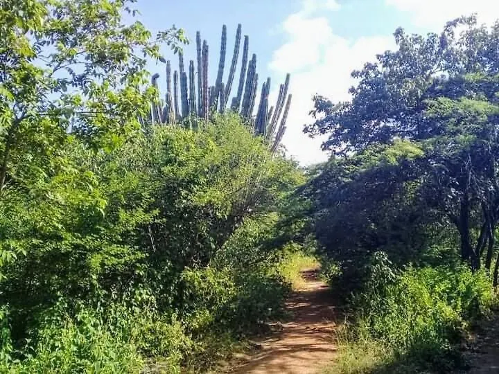 Cabanita En El Bosque Seco Tropical -Microrreserva El Guamacho Santa Marta  Horská chata